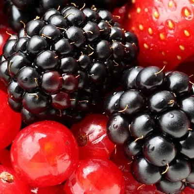 Ежевика в Калининграде