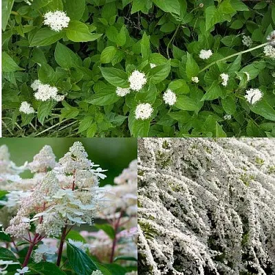 Комплект СКАНДИНАВСКИЙ СТИЛЬ в Калининграде