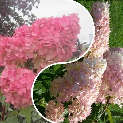 Комплект МНОГОГРАННОСТЬ в Калининграде