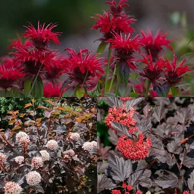 Комплект ОГНЕННЫЙ МИКС в Калининграде