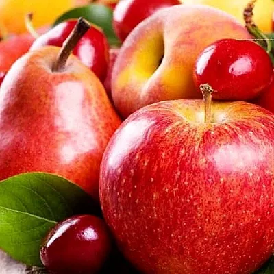 Плодовые деревья Плодовые деревья в Калининграде