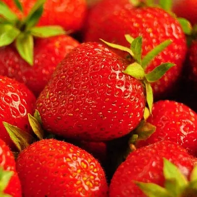 Клубника в Калининграде