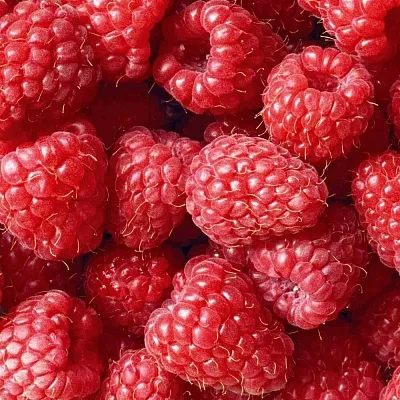 Летняя  Летняя в Калининграде